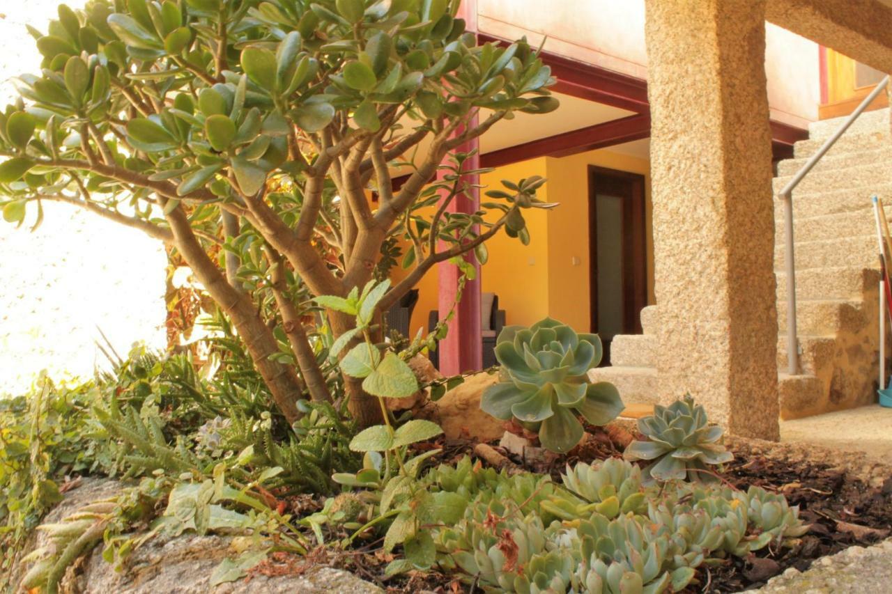Villa Casa de José Cabeceiras de Basto Exterior foto